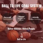 Ball to Life Goal Setting System
