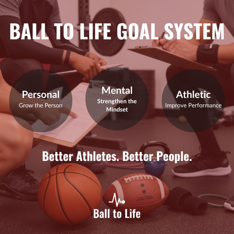 Ball to Life Goal Setting System